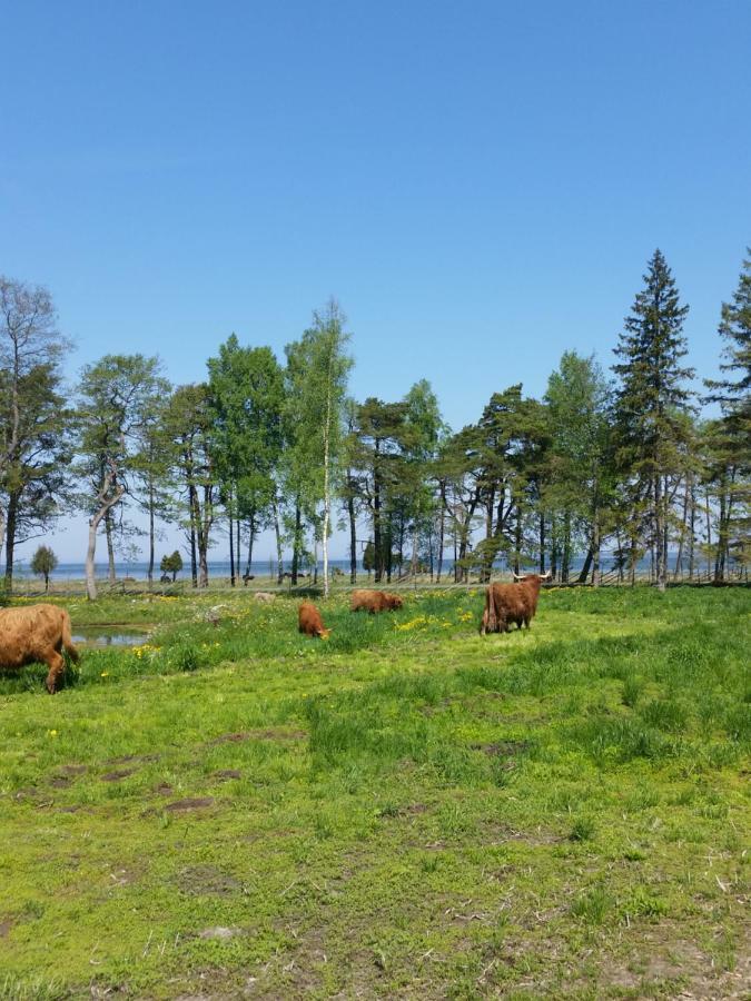 Ranna Villa Farm Kudema エクステリア 写真
