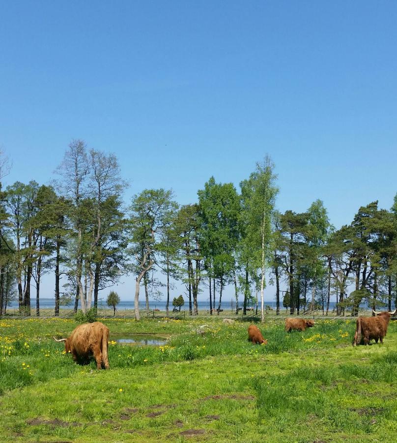 Ranna Villa Farm Kudema エクステリア 写真